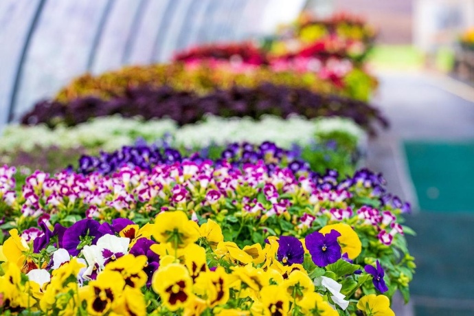 11385 US Route 20 East, STOCKTON, Illinois 61085, ,Commercial,For Sale,US Route 20 East,202403546