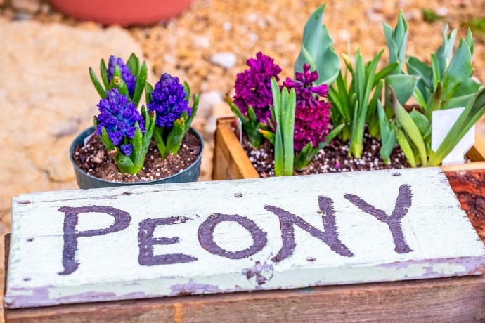 11385 US Route 20 East, STOCKTON, Illinois 61085, ,Commercial,For Sale,US Route 20 East,202403546