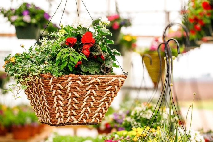 11385 US Route 20 East, STOCKTON, Illinois 61085, ,Commercial,For Sale,US Route 20 East,202403546