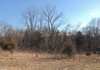 9 Cedar Rim, GALENA, Illinois 61036, ,Land,For Sale,Cedar Rim,202200219