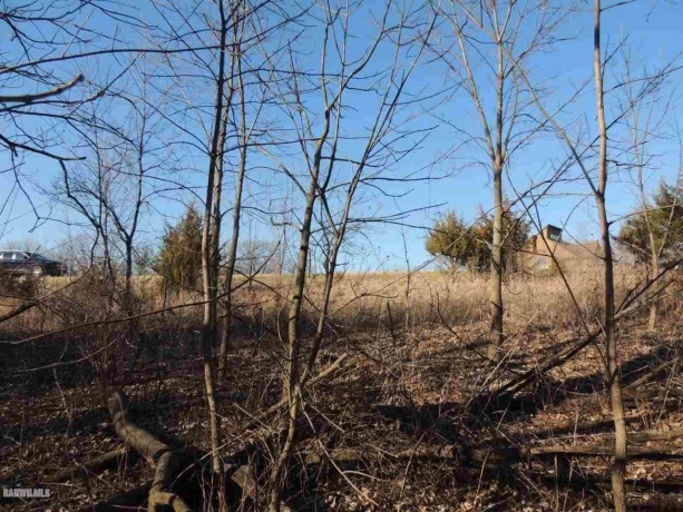 9 Cedar Rim, GALENA, Illinois 61036, ,Land,For Sale,Cedar Rim,202200219