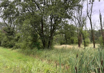 000 Beaver, FREEPORT, Illinois 61032, ,Land,For Sale,Beaver,202403786