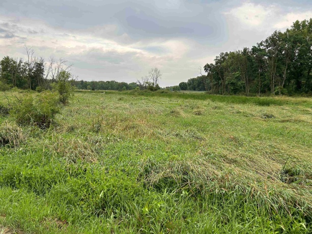 000 Beaver, FREEPORT, Illinois 61032, ,Land,For Sale,Beaver,202403786