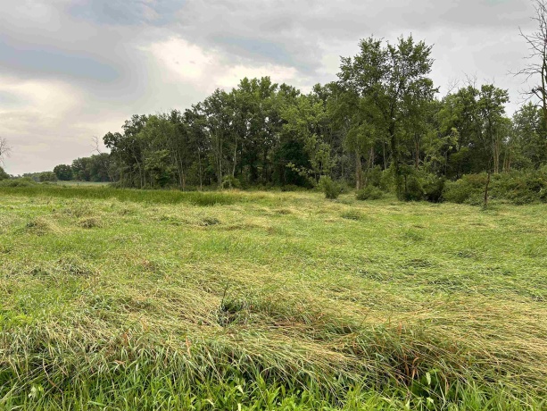 000 Beaver, FREEPORT, Illinois 61032, ,Land,For Sale,Beaver,202403786