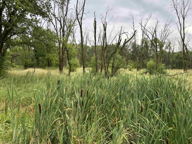 000 Beaver, FREEPORT, Illinois 61032, ,Land,For Sale,Beaver,202403786