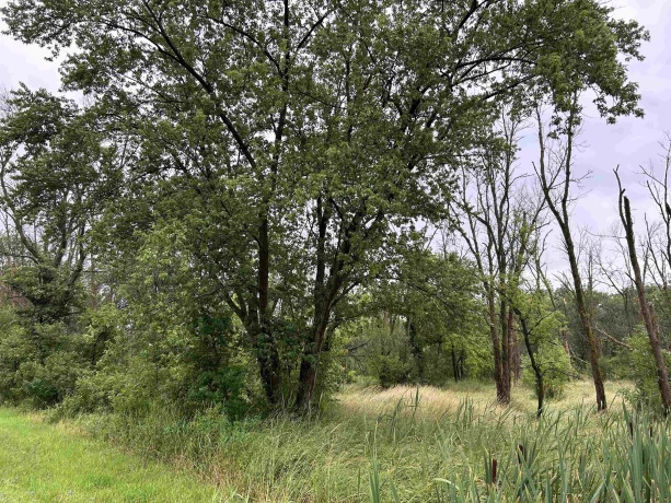 000 Beaver, FREEPORT, Illinois 61032, ,Land,For Sale,Beaver,202403786