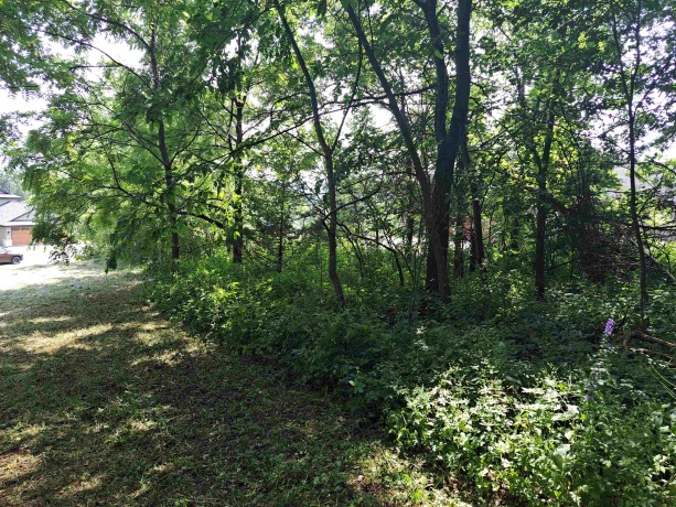 12 Saddleback, GALENA, Illinois 61036, ,Land,For Sale,Saddleback,202404002