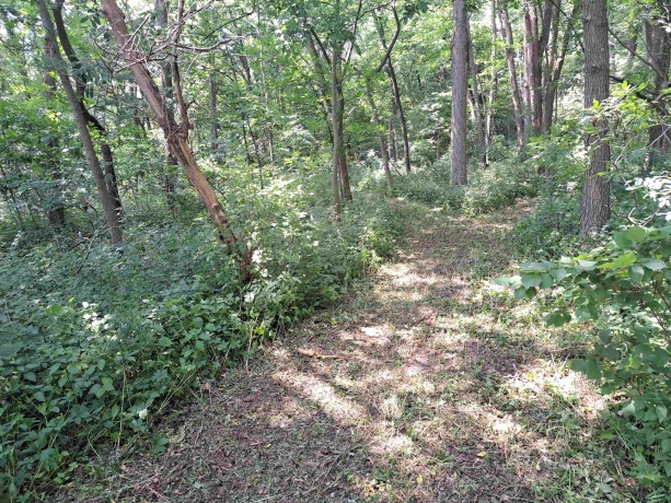 12 Saddleback, GALENA, Illinois 61036, ,Land,For Sale,Saddleback,202404002