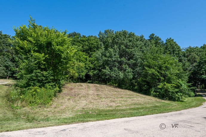 12 Saddleback, GALENA, Illinois 61036, ,Land,For Sale,Saddleback,202404002