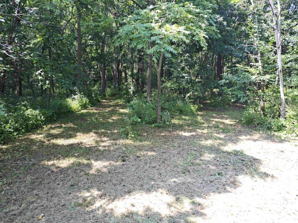 12 Saddleback, GALENA, Illinois 61036, ,Land,For Sale,Saddleback,202404002