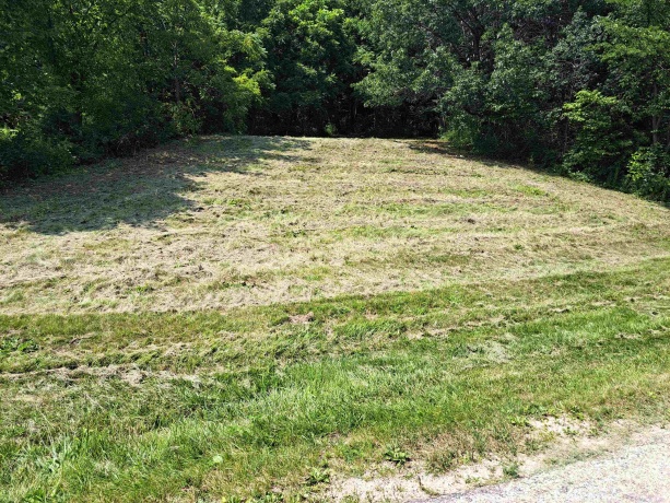 12 Saddleback, GALENA, Illinois 61036, ,Land,For Sale,Saddleback,202404002