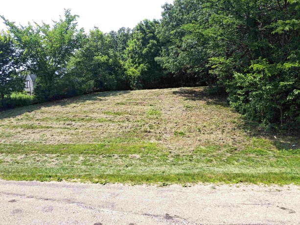 12 Saddleback, GALENA, Illinois 61036, ,Land,For Sale,Saddleback,202404002