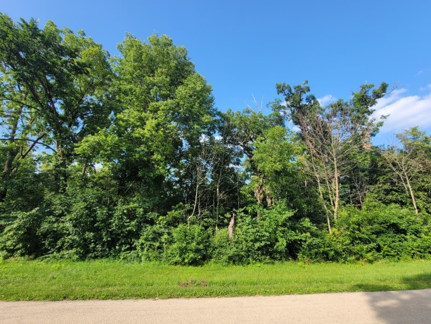 43 Lookout, GALENA, Illinois 61036, ,Land,For Sale,Lookout,202404014