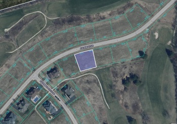 131 Savannah Oaks Dr., POPLAR GROVE, Illinois 61065, ,Land,For Sale,Savannah Oaks Dr.,202404316