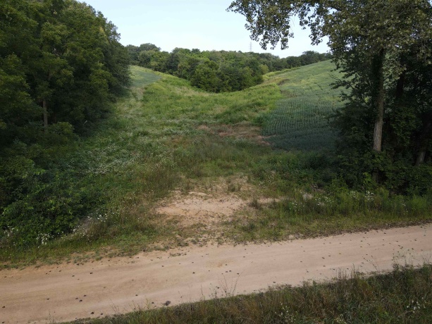 000 Old Dump Road, EAST DUBUQUE, Illinois 61025, ,Land,For Sale,Old Dump Road,202404710