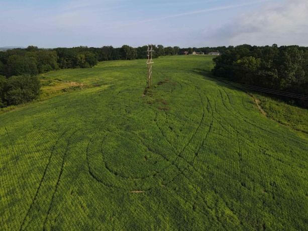 000 Old Dump Road, EAST DUBUQUE, Illinois 61025, ,Land,For Sale,Old Dump Road,202404710