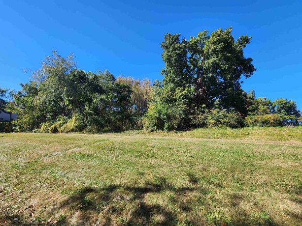5-53R Chadbourne, LAKE CARROLL, Illinois 61046, ,Land,For Sale,Chadbourne,202404784