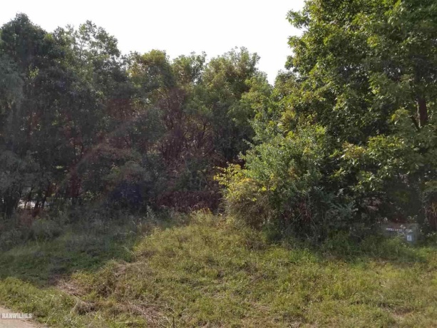 5-53R Chadbourne, LAKE CARROLL, Illinois 61046, ,Land,For Sale,Chadbourne,202404784