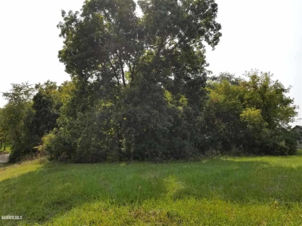 5-53R Chadbourne, LAKE CARROLL, Illinois 61046, ,Land,For Sale,Chadbourne,202404784