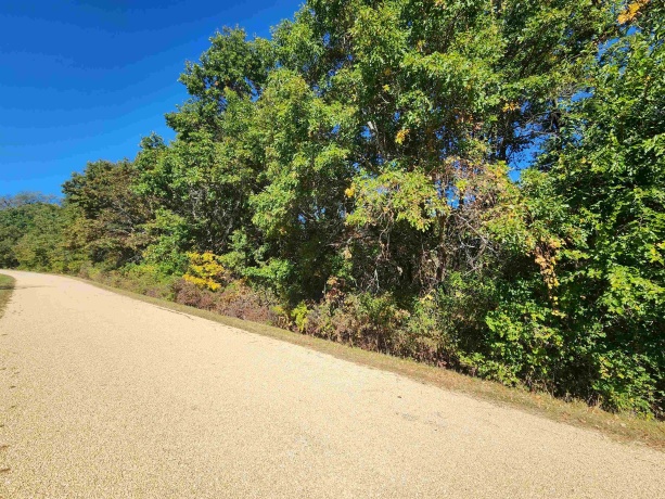 12-124R Briarwood, LAKE CARROLL, Illinois 61046, ,Land,For Sale,Briarwood,202404853