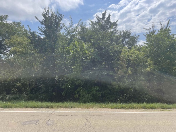 389 Wachter, GALENA, Illinois 61036, ,Land,For Sale,Wachter,202404892