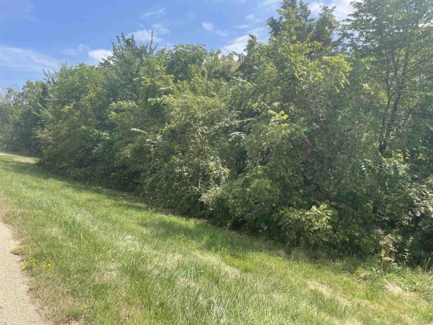 389 Wachter, GALENA, Illinois 61036, ,Land,For Sale,Wachter,202404892