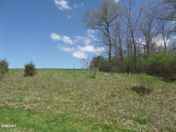 25-26 Lake Carroll, LAKE CARROLL, Illinois 61046, ,Land,For Sale,Lake Carroll,202404932