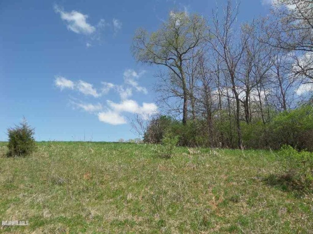 25-26 Lake Carroll, LAKE CARROLL, Illinois 61046, ,Land,For Sale,Lake Carroll,202404932