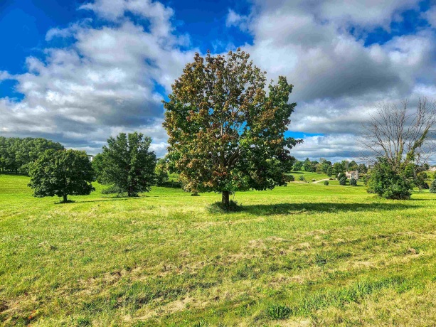 31-89 Country Club, LAKE CARROLL, Illinois 61046, ,Land,For Sale,Country Club,202404990