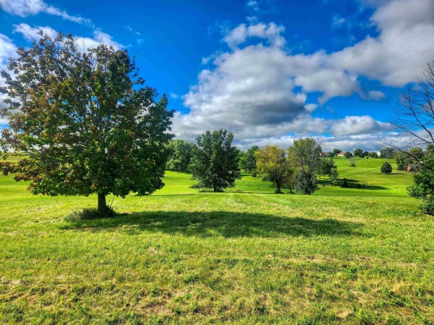 31-89 Country Club, LAKE CARROLL, Illinois 61046, ,Land,For Sale,Country Club,202404990