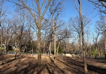 25XX Shady, ROCKFORD, Illinois 61107, ,Land,For Sale,Shady,202405408