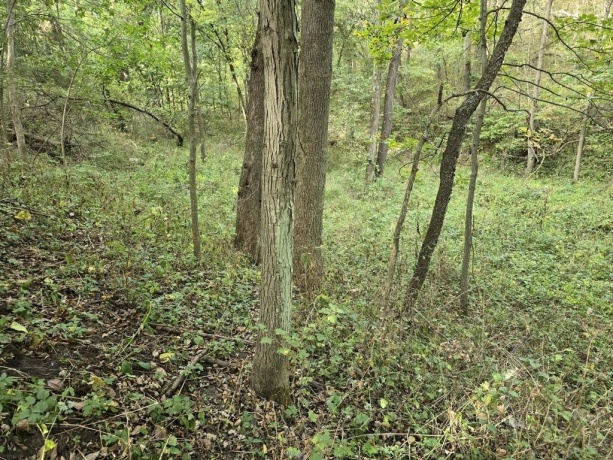 TBD West, GALENA, Illinois 61036, ,Land,For Sale,West,202405556