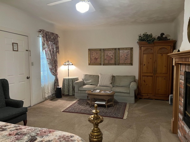 341 Spring, GALENA, Illinois 61036, ,Business W/ Real Estate,For Sale,Spring,202405558