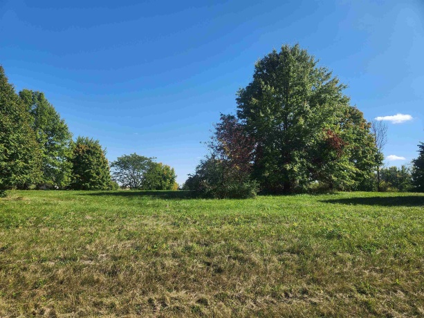 31-28 Cog Hill, LAKE CARROLL, Illinois 61046, ,Land,For Sale,Cog Hill,202405703