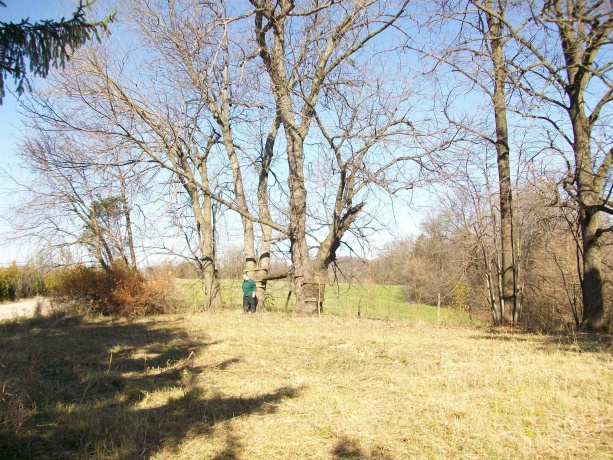 605 Blackjack, GALENA, Illinois 61036, ,Land,For Sale,Blackjack,202405885