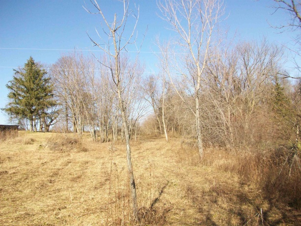 605 Blackjack, GALENA, Illinois 61036, ,Land,For Sale,Blackjack,202405885