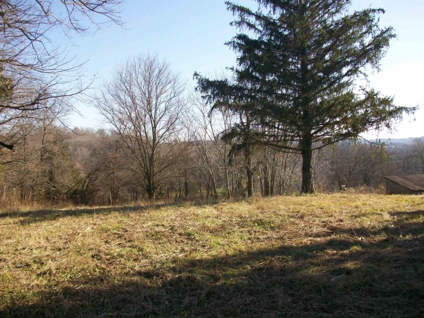 605 Blackjack, GALENA, Illinois 61036, ,Land,For Sale,Blackjack,202405885