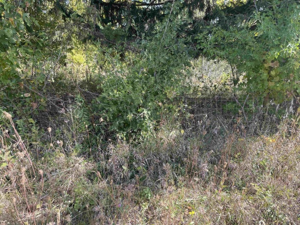 605 Blackjack, GALENA, Illinois 61036, ,Land,For Sale,Blackjack,202405885