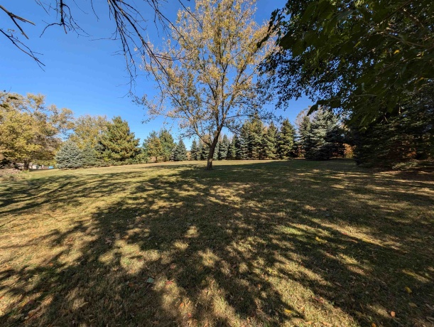 481 Red Oak, CHANA, Illinois 61015, ,Land,For Sale,Red Oak,202405949