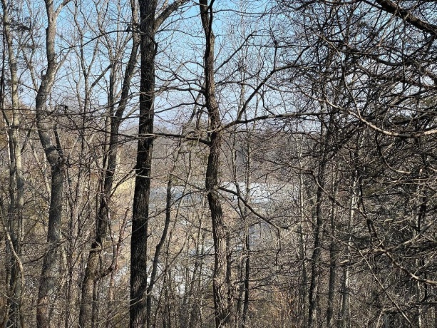 20 Arrowwood, GALENA, Illinois 61036, ,Land,For Sale,Arrowwood,202406371