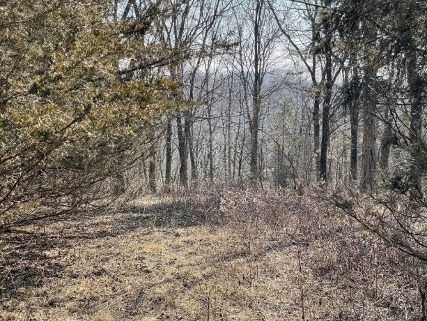 20 Arrowwood, GALENA, Illinois 61036, ,Land,For Sale,Arrowwood,202406371