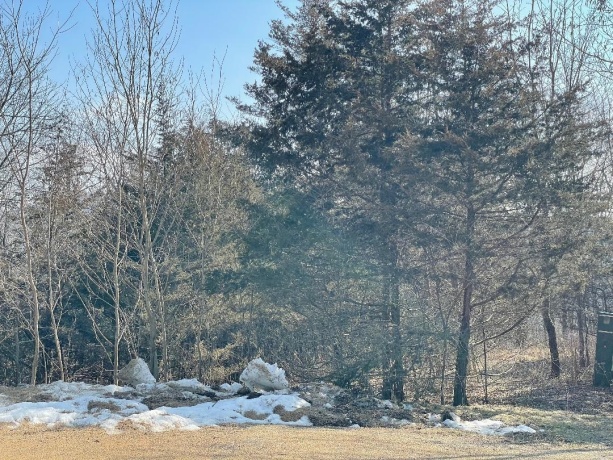 20 Arrowwood, GALENA, Illinois 61036, ,Land,For Sale,Arrowwood,202406371