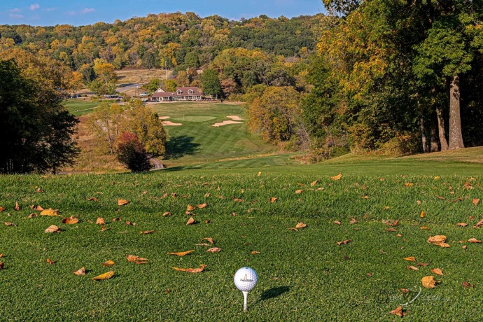 20 Arrowwood, GALENA, Illinois 61036, ,Land,For Sale,Arrowwood,202406371