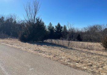 33 Lake Ridge, GALENA, Illinois 61036, ,Land,For Sale,Lake Ridge,202406372