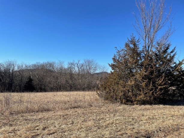 33 Lake Ridge, GALENA, Illinois 61036, ,Land,For Sale,Lake Ridge,202406372