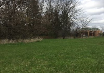 XXX Pearl, BELVIDERE, Illinois 61008, ,Land,For Sale,Pearl,202406712