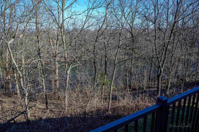 19 Cedar Bluff, GALENA, Illinois 61036, 3 Bedrooms Bedrooms, ,2 BathroomsBathrooms,Condominium,For Sale,Cedar Bluff,202406788