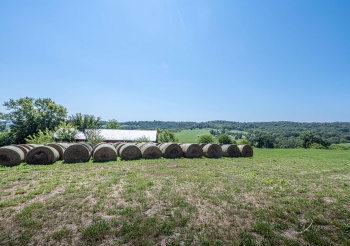 3175 Mitchell, HANOVER, Illinois 61041, ,Land,For Sale,Mitchell,202404933