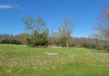 4 Garnet, GALENA, Illinois 61036, ,Land,For Sale,Garnet,202406861
