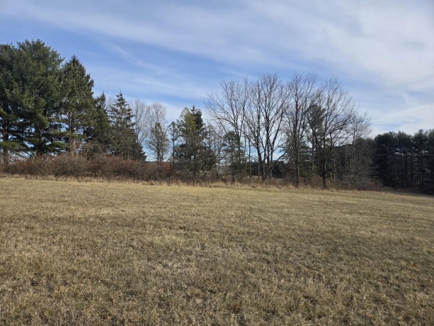 3A58 General Lee, APPLE RIVER, Illinois 61001, ,Land,For Sale,General Lee,202406926